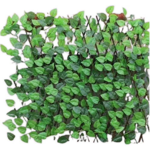 Clôture Extensible À Feuilles Vertes