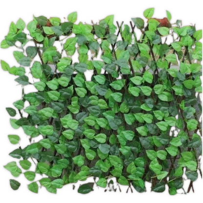 Clôture Extensible À Feuilles Vertes