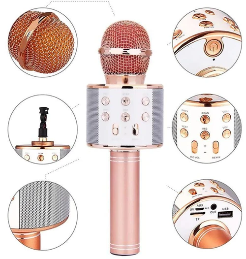 Micro Karaoké Sans Fil - Fonction Bluetooth