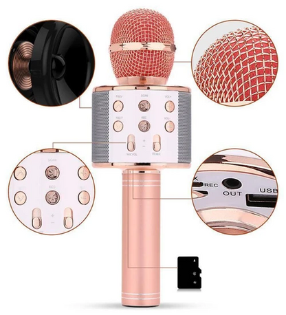Micro Karaoké Sans Fil - Fonction Bluetooth