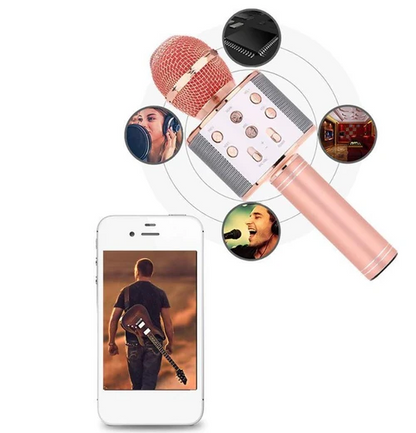 Micro Karaoké Sans Fil - Fonction Bluetooth