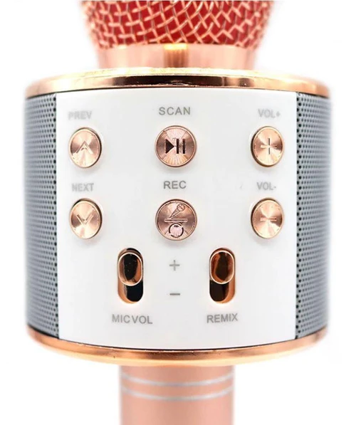 Micro Karaoké Sans Fil - Fonction Bluetooth