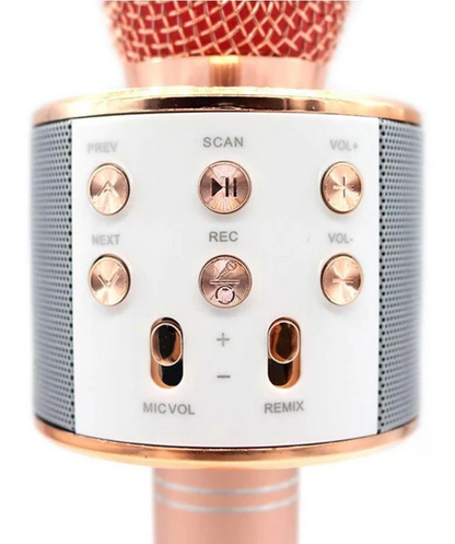 Micro Karaoké Sans Fil - Fonction Bluetooth