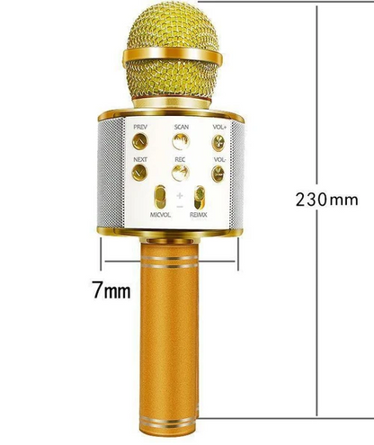 Micro Karaoké Sans Fil - Fonction Bluetooth