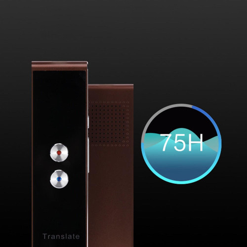 Traducteur Portable Vocal