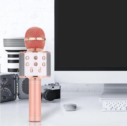 Micro Karaoké Sans Fil - Fonction Bluetooth
