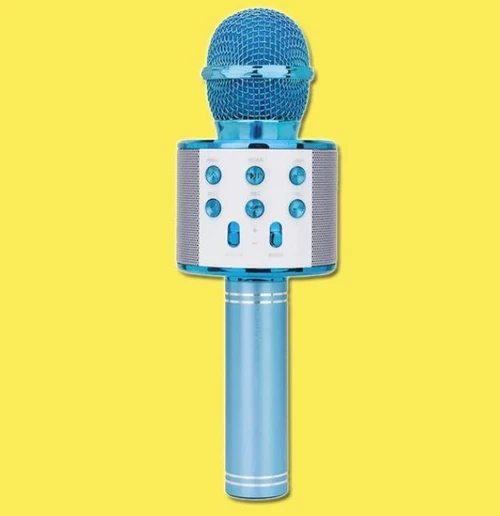 Micro Karaoké Sans Fil - Fonction Bluetooth