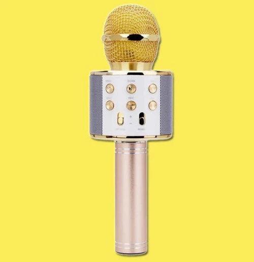 Micro Karaoké Sans Fil - Fonction Bluetooth