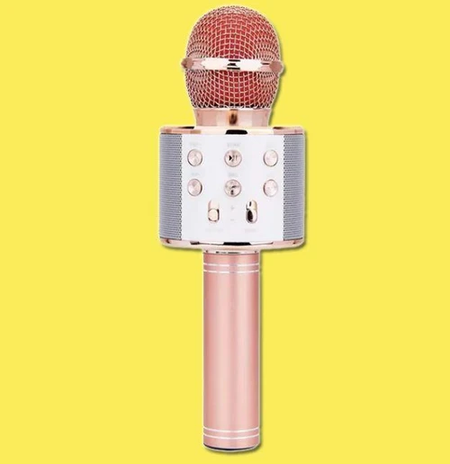 Micro Karaoké Sans Fil - Fonction Bluetooth