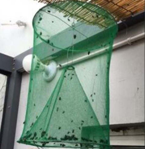 Piège à Mouches Réutilisable