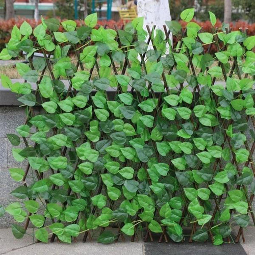 Clôture Extensible À Feuilles Vertes