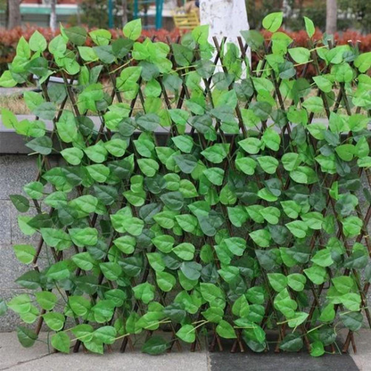 Clôture Extensible À Feuilles Vertes