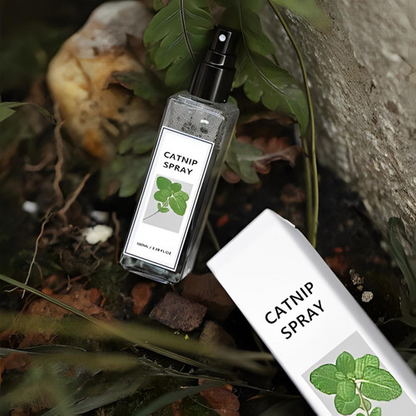 Spray Herbe À Chat Naturel