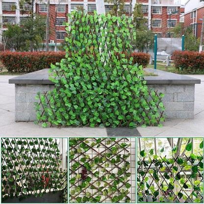 Clôture Extensible À Feuilles Vertes