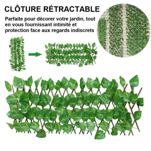 Clôture Extensible À Feuilles Vertes