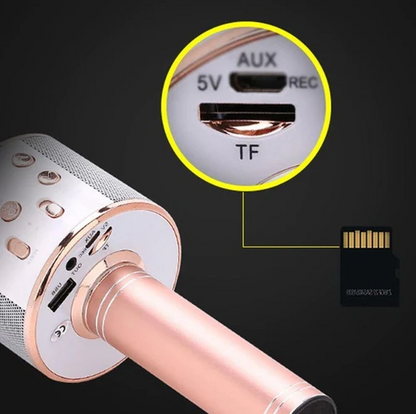 Micro Karaoké Sans Fil - Fonction Bluetooth