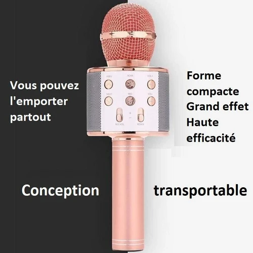 Micro Karaoké Sans Fil - Fonction Bluetooth
