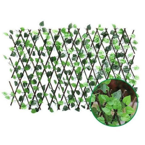 Clôture Extensible À Feuilles Vertes